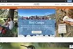 portfolio bird conservation non-profit site