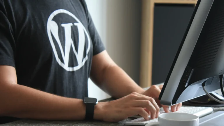 wordpress developer