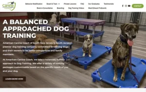 Custom WordPress site for dog trainer