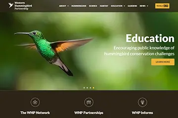 Wildlife non-profit site for hummingbirds